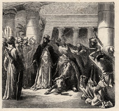 Cambyses II, ruler of the Achaemenid Persians Kills the Apis the Sacred Bull of the Egyptians - Cambyses or Cambyse II (530-522 BC) engraving from 