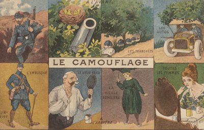 Camouflage by French School