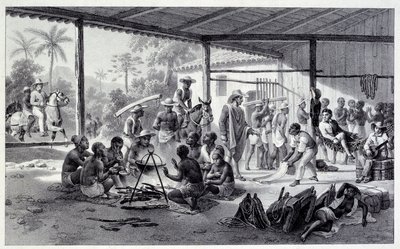 Camp of Negres in Brazil by French School