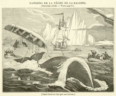Canoe Thrown into the Air by a Whale by French School