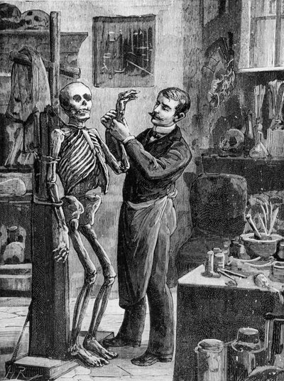 Case Gouffé: La reconstruction imaginaire du cadavre Gouffé par le dr Lacassagne - in 
