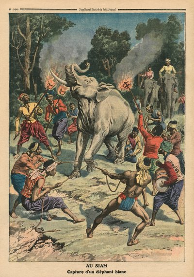 Catching a White Elephant in Siam, illustration from 
