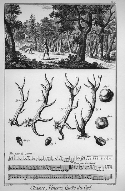 Chasse - la quete du deer - The Great Encyclopedie, ou Dictionnaire Raisonne des Sciences, des Arts et des Metiers (Encyclopedia or Dictionary of the Sciences, Arts and Professions) by Denis Diderot and Jean d