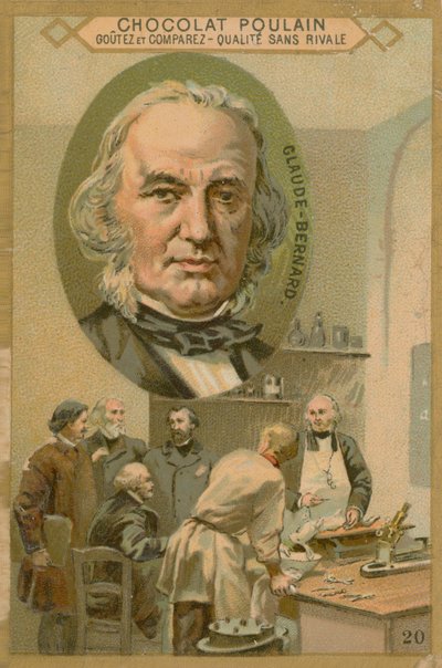 Claude Bernard, Chocolat Poulain Trade Card by French School