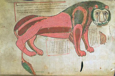 The Lion and the Pig, from Liber Floridus by Lambert de Saint-Omer c.1120 by French School
