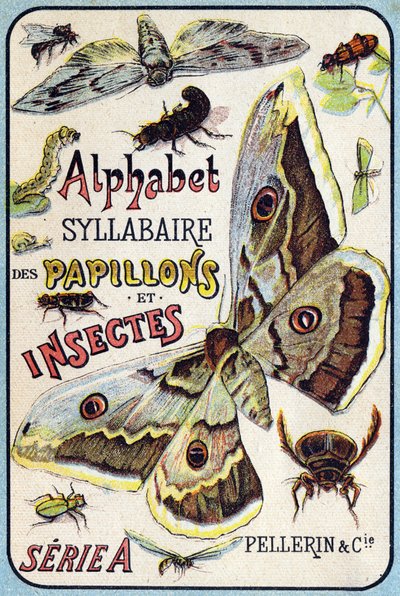 Cover of "Syllabary alphabet of butterflies and insects" by French School