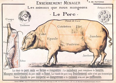 Cuts of Pork, illustration from a French Domestic Science Manual by H. de Puytorac, published by Editions Fernand Nathan, late 19th century by French School