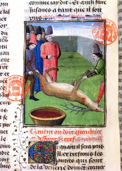 Cutting the Legs of a Dead Stag, from the Livre de la Chasse by Gaston Phebus de Foix (1331-91) by French School