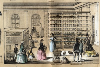 Description of culture and silk products: in the center the magneerie with the various stages of the sericulture. Plate 