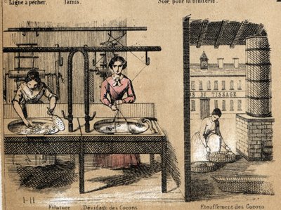 Description of the crop and silk products: workers spinning silk, removing or smothering cocoons. Plate 