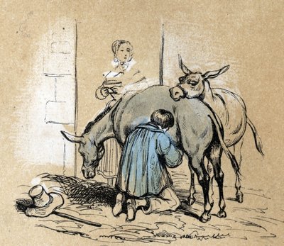 Description of the different products and uses of donkey: the production of donkey