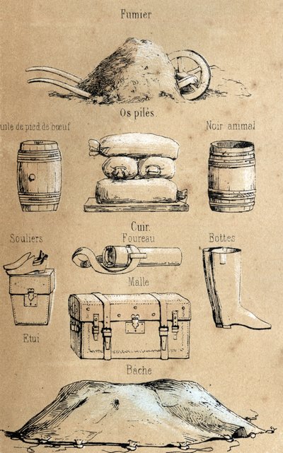 Description of the various products and uses of cow: all kinds of objects made from cow (beef foot oil, leather objects, manure). Plate 