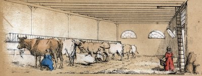 Description of the various products and uses of the cow: milking and production of cow