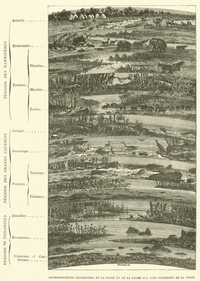 Progressive Developments of Flora and Fauna in the Successive Ages of the Earth by French School