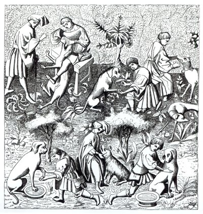 Diseases of Dogs and Their Cure, after a Miniature in the Manuscript of Gaston de Foix by French School