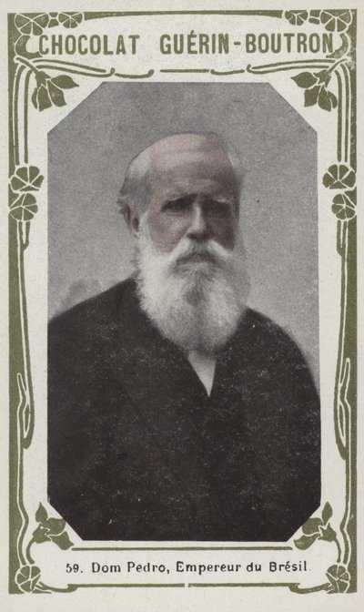 Dom Pedro, Emperor of Brazil by French School