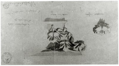 Drawing for the Restoration of Notre Dame by French School