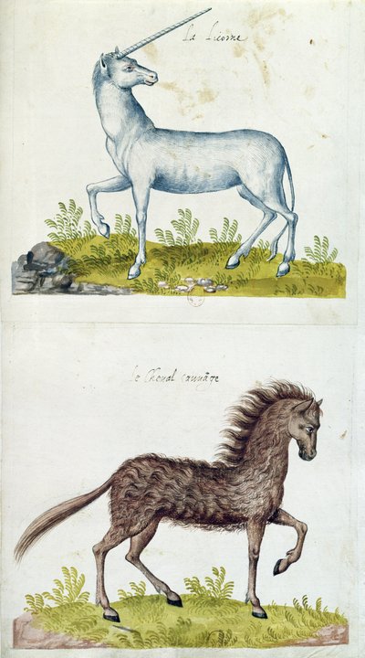 Drawings of a unicorn and a wild horse by French School