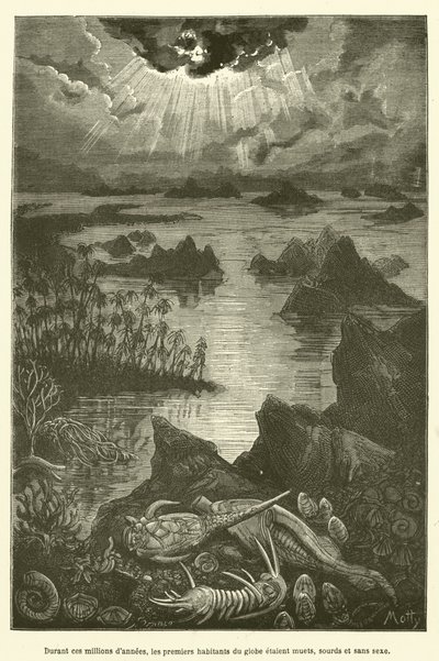 During These Millions of Years, the First Inhabitants of the Globe Were Mute, Deaf, and Sexless by French School