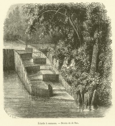 Salmon ladder by French School