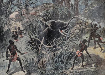 Elephant hunting in Africa. The elephant falls into a pit before being finished with arrows. Engraving in Le Pelerin 22/01/1899. by French School
