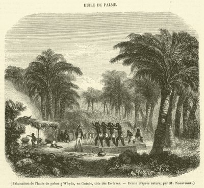 Palm Oil Production in Whydah, Guinea, Slave Coast (engraving) by French School