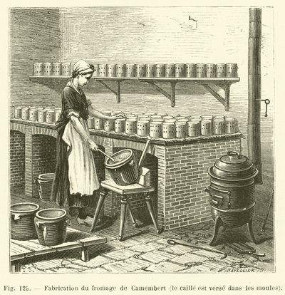 Camembert Cheese Making, the Curd is Poured into Molds by French School