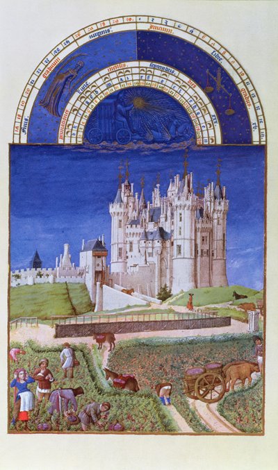 Facsimile of September: Harvesting Grapes by the Limbourg Brothers, from the Tres Riches Heures du Duc de Berry by French School