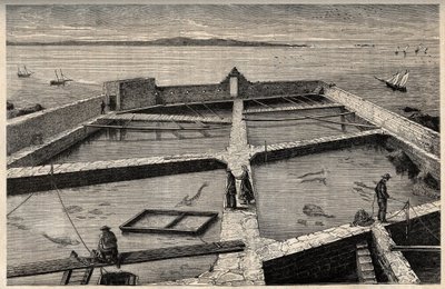 Fish farming in Concarneau - Brittany - Establishment de pisciculture - Concarneau - Finistere - Brittany - engraving in 