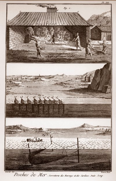 Fishing, Herring and Sardines - 