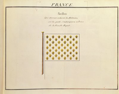 Flag of a Prince of the Royal Family, from Pavillons des Puissances Maritimes by French School