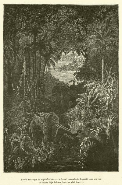 Wild and Impenetrable Forests... the Heavy Mastodon Crushed Under Its Steps the Flowers Already Blooming in the Clearings by French School