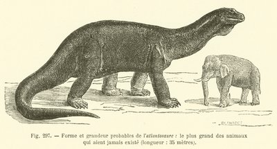 Probable Form and Size of the Atlantosaurus, the Largest Animal Ever to Exist, Length, 35 Meters by French School