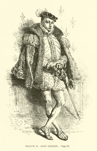 Francis II, Aged Sixteen by French School