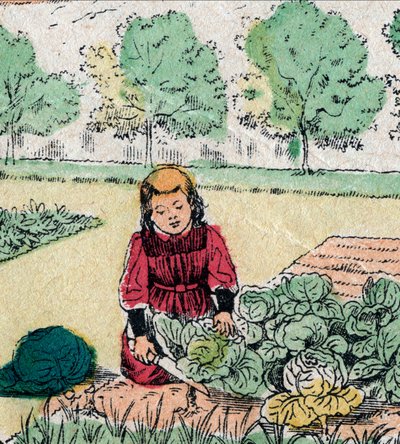 French belief: A little girl, believing that babies are born in cabbage or roses, cuts the sprouts of a vegetable garden - Epinal picture - 19th century by French School
