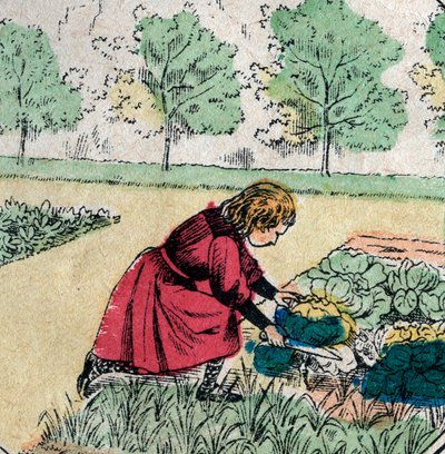 French belief: A little girl, believing that babies are born in cabbage or roses, cuts the sprouts of a vegetable garden - Epinal picture - 19th century by French School