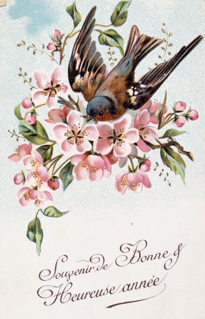 French New Year Postcard Depicting Flowers and a Bird by French School