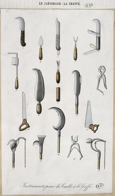 Garden tools for grafting and pruning by French School