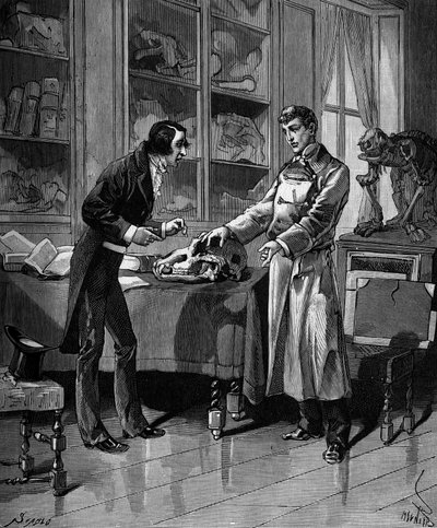 Georges Cuvier (1769-1832), French naturalist with a young student. in “Histoire populaire des sciences, inventions et discoveries from the first centuries to the present day” by Bitard Adolphe 1880 by French School