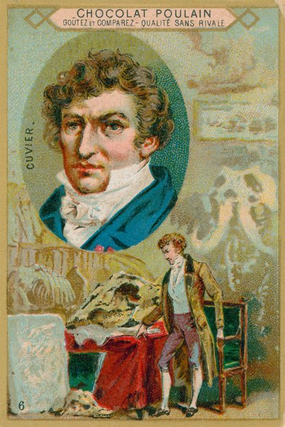 Georges Cuvier by French School