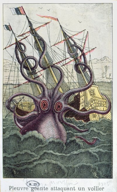 Giant Octopus, illustration from The Natural History of Mollusks by Denys-Montfort, c. 1802-03 by French School