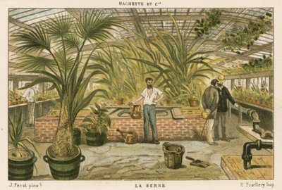Greenhouse by French School