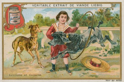 Greyhound and Poodle by French School