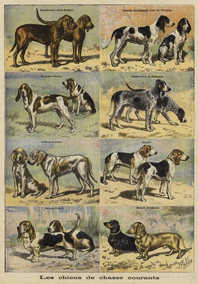 Gun dogs by French School