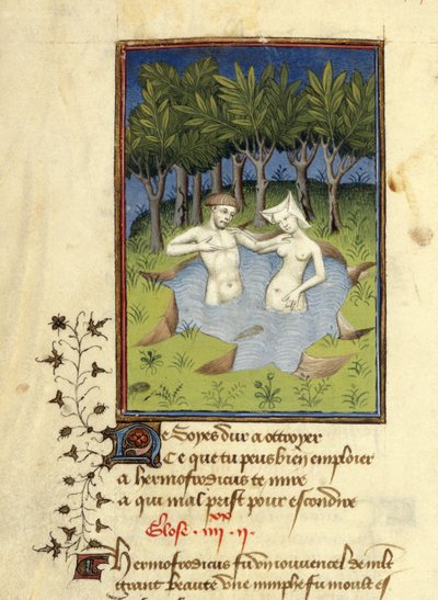 Harley MS 4431, f.132v, Miniature of Hermaphroditus and the nymph Salmacis bathing in a lake, from 
