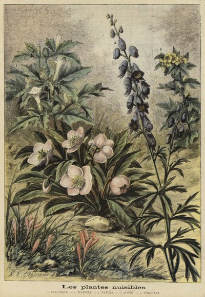 Harmful plants by French School