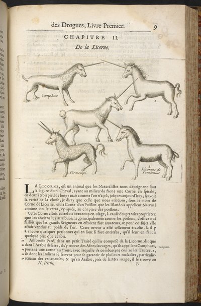 Histoire générale des Drogues, traitant des plantes, des animaux et des minéraux by Pierre Pomet by French School