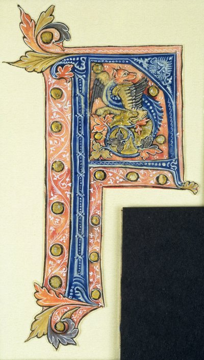 Historiated initial P depicting a winged griffin by French School