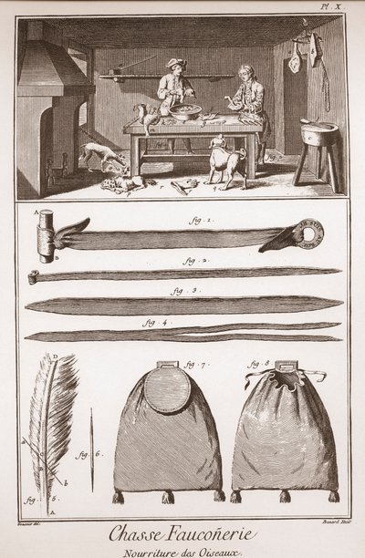 Hunting - Falconry - Food of birds - Engraving by Benard after Goussier - The Great Encyclopedie, or Dictionary of the Sciences, Arts and Professions by Denis Diderot by French School
