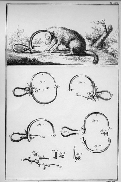 Hunting - fox caught at the trackenard (Piege) - 